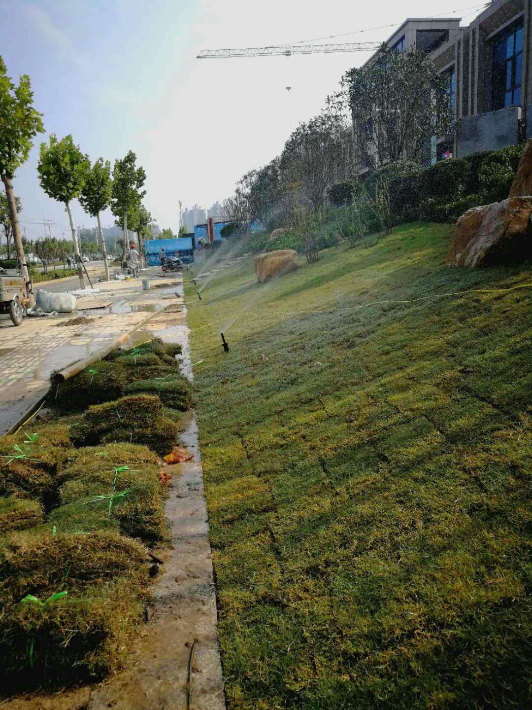 草坪噴灌系統與園林綠化工程施工要點
