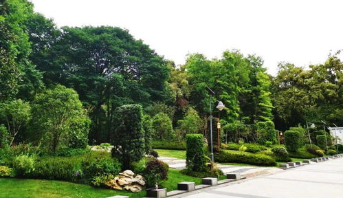 喜訊！人文園林榮獲2020年杭州市優秀園林綠化工程兩項金獎